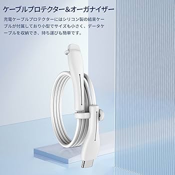 [美品] iPad pro 本体 充電ケーブル　カバー付き iPad Pro ケース 12.9インチ 新型 12.9 第6世代 Apple pencil